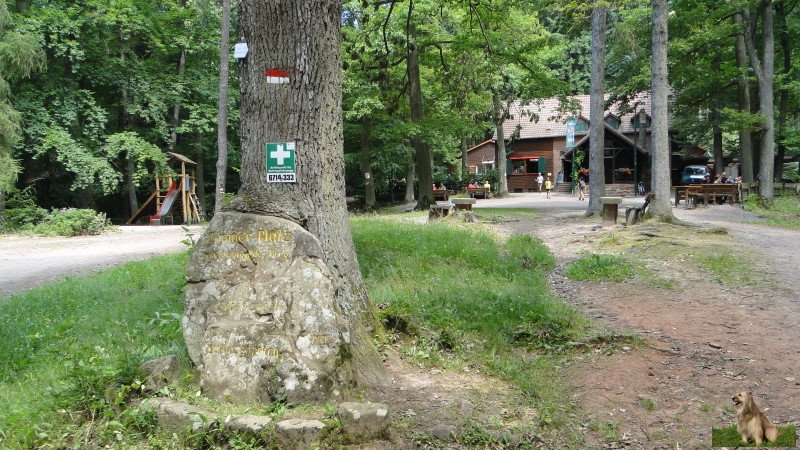 Ritterstein Nr. 058-5b Zimmer-Platz bei Erbauung der Burg Scharfeneck, später Schlossgarten.JPG - Ritterstein Nr.58 Zimmer-Platz bei Erbauung der Burg Scharfeneck, später Schlossgarten